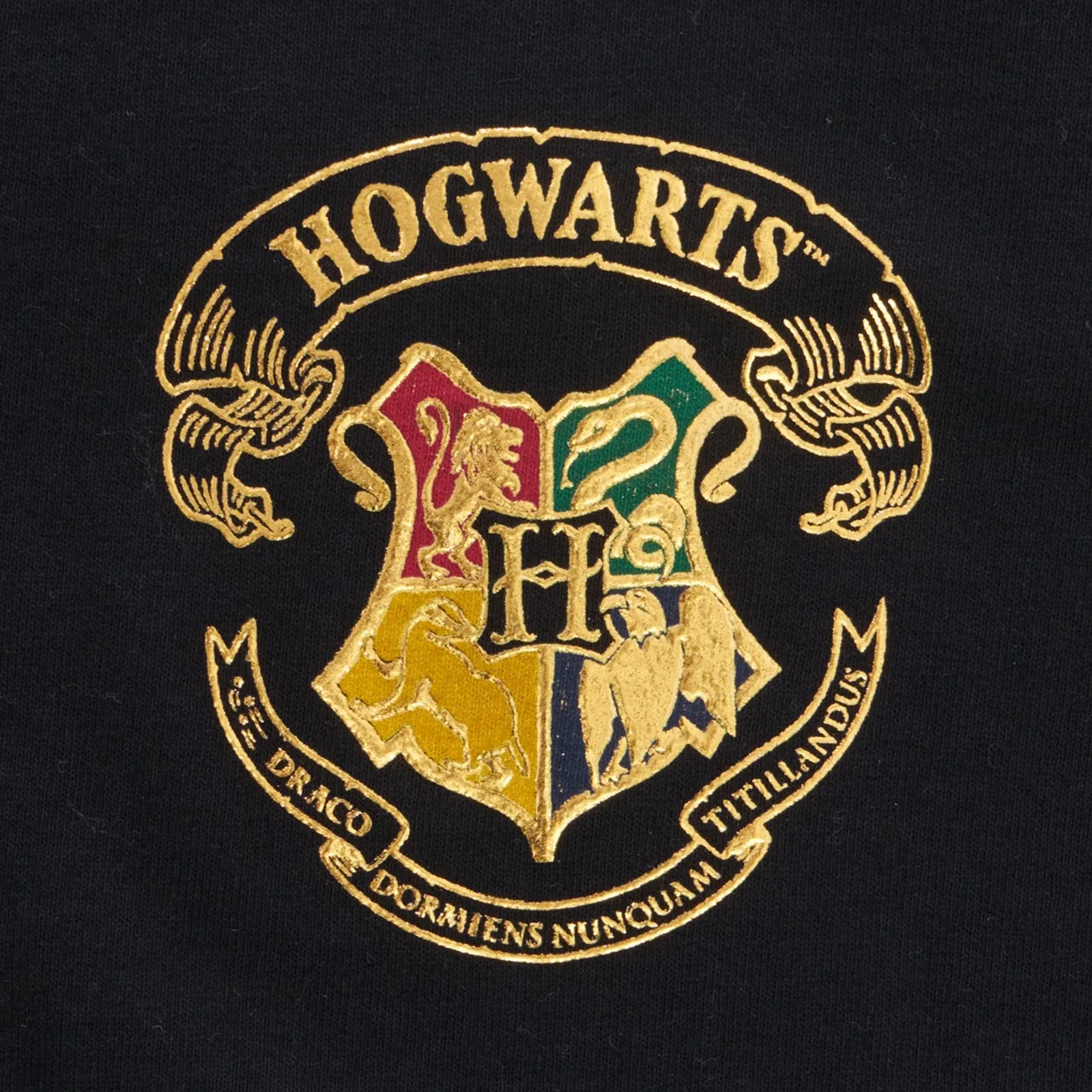 Hogwarts Spirit Jersey